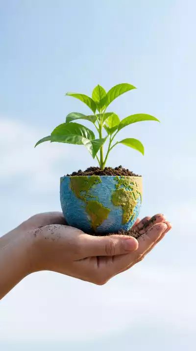 Conceptual image representing growth mindset